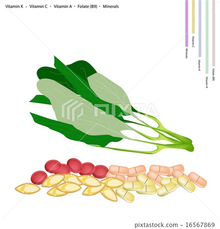 Fresh Chinese Broccoli with Vitamin K, C, A and B9 16567869