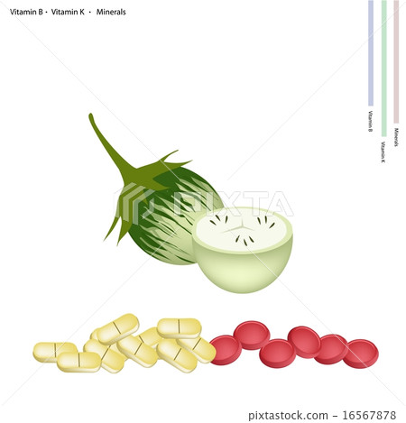 Green Eggplant with Vitamin B, C and Minerals Green Eggplant with Vitamin B, C and Minerals 16567878