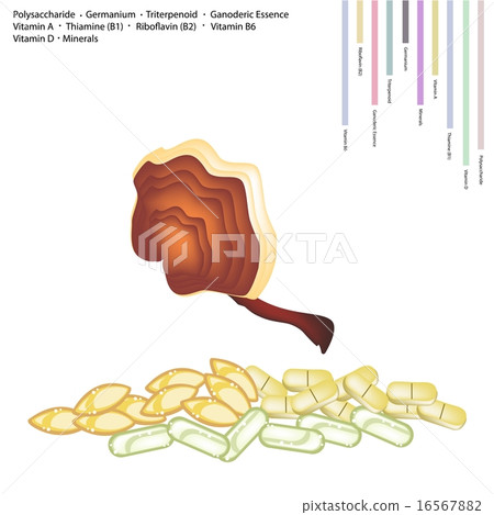 Ling Zhi Mushroom with Vitamin A, B and D Ling Zhi Mushroom with Vitamin A, B and D 16567882