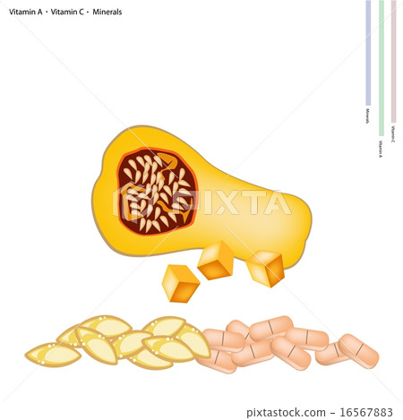 Ripe Butternut Squash with Vitamin A, C Minerals 16567883