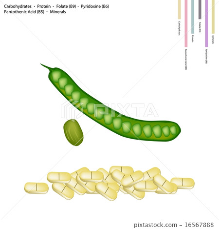 Fresh Twisted Cluster Bean with Vitamin B9, B6 B5 Fresh Twisted Cluster Bean with Vitamin B9, B6 B5 16567888