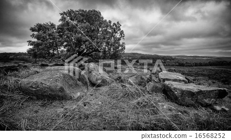 Views Of The Peak District UK 16568252