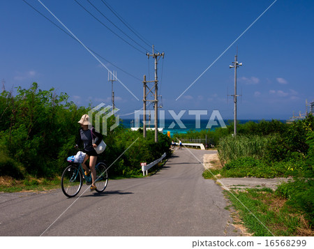 Hateruma Blue Hateruma Blue 16568299