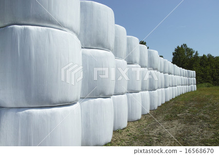 Grass roll Grass roll 16568670