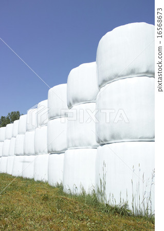 Grass roll Grass roll 16568673