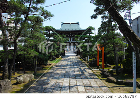 千葉縣松戶市的博門寺的山門和入口道路 千葉縣松戶市的博門寺的山門和入口道路 16568787