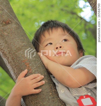 幼兒園的孩子 幼兒園的孩子 16568790