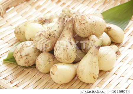 Rucksack with mud Rucksack with mud 16569074