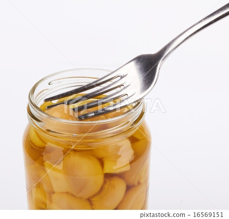 Mushroom Mushroom 16569151