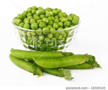Pea in bowl 16569183