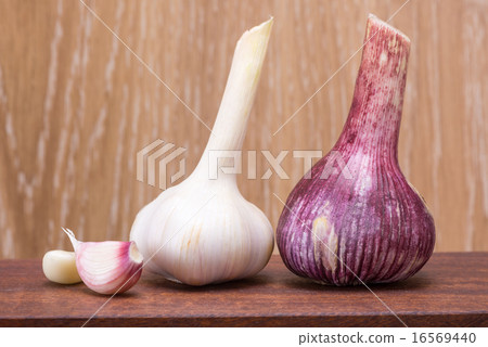 garlic - clove and head garlic - clove and head 16569440
