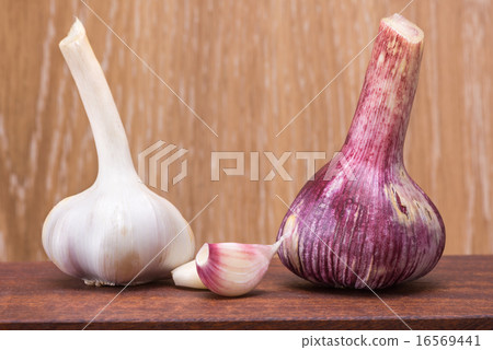 garlic - clove and head garlic - clove and head 16569441