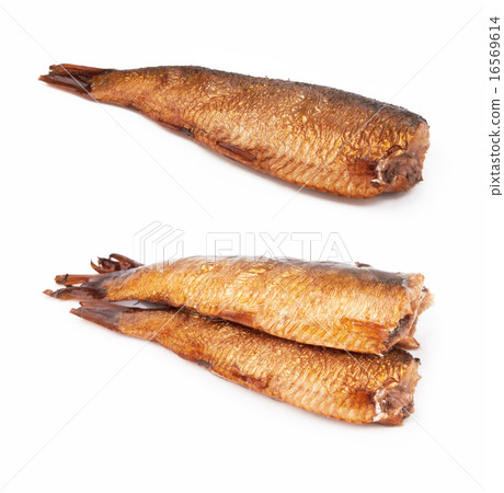 sprats sprats 16569614