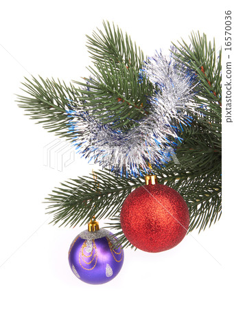 Christmas tree 16570036