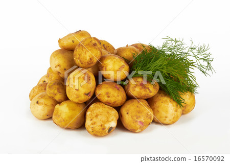 potatoes 16570092