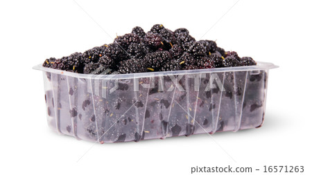 Mulberry in a plastic tray rotated Mulberry in a plastic tray rotated 16571263