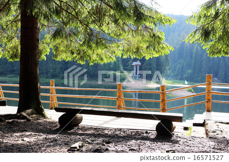 shore of Lake Synevir shore of Lake Synevir 16571527