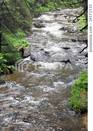 forest mountain river 16571535