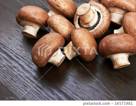 Champignon Mushroom 16571981