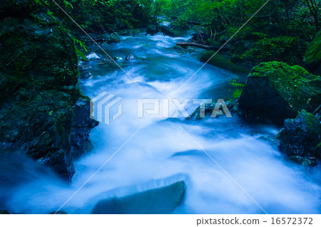 Mountain stream Mountain stream 16572372