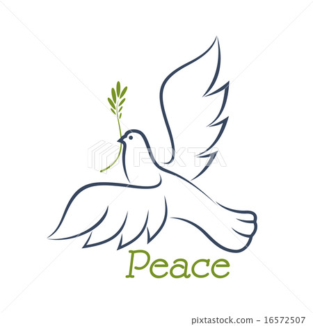 Dove of peace with green olive 16572507