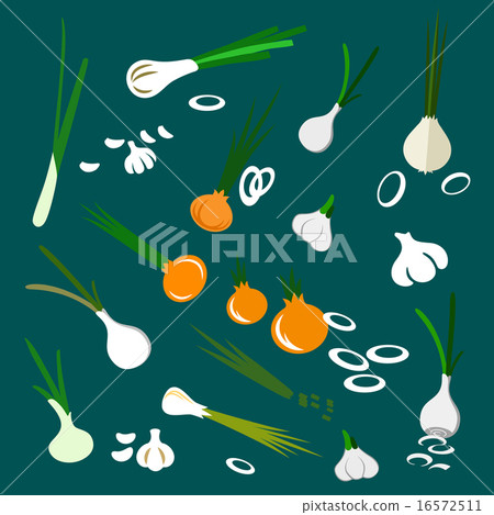 Onion, garlic and scallion flat vegetables 16572511