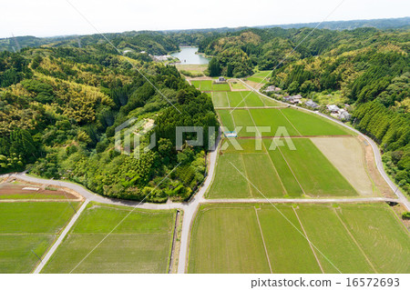 Aerial photograph of rustic scenery of Isumi with little satsuma and dusk Aerial photograph of rustic scenery of Isumi with little satsuma and dusk 16572693