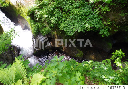 Downhole at the downstream of Ryuzōgata Falls 16572743