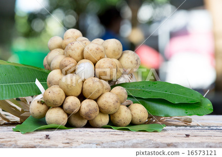 Lansium demesticum Corr fruit Lansium demesticum Corr fruit 16573121