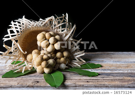 Lansium demesticum Corr fruit 16573124