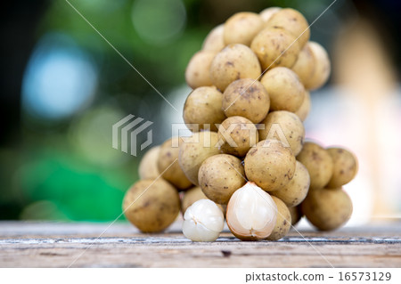 Lansium demesticum Corr fruit Lansium demesticum Corr fruit 16573129
