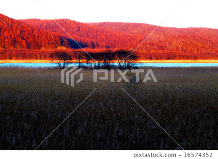 Lakeside of sunset 16574352