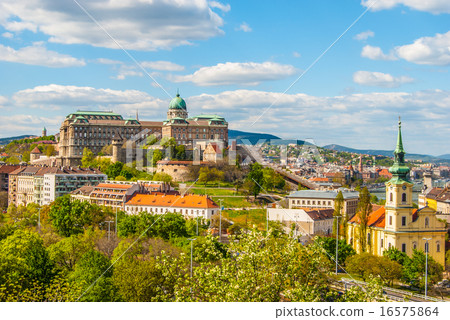Buda Castle in Budapest Buda Castle in Budapest 16575864