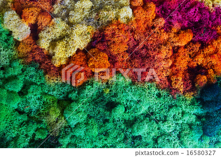 Nature background 16580327