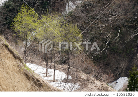 白雪皚皚的大陽台 16581026