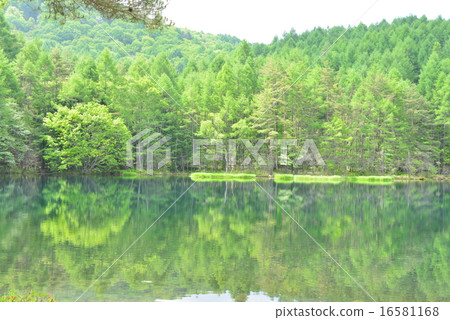 2015年Oga池塘在初夏 16581168