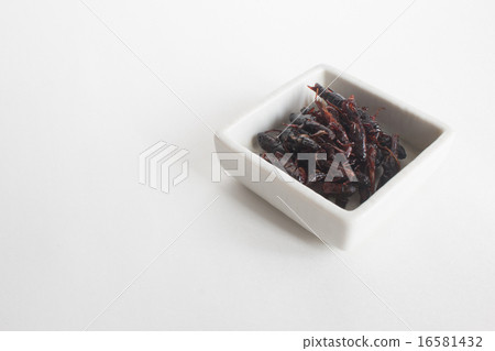 Locust of locusts 16581432