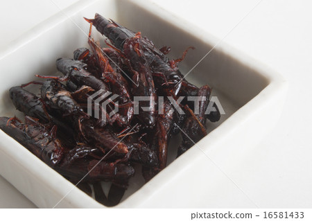 蝗蟲蝗蟲 16581433