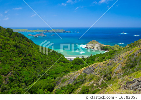 小笠原群島Chichijima Nakayama Pass 16582055