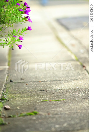 路邊 路邊 16584569
