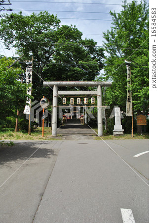 北海道Yoichi神社·鳥居（節日） 16584583