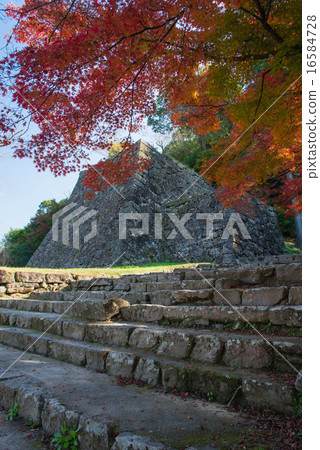 Autumn's Hitoyoshi Castle Ruins 16584728
