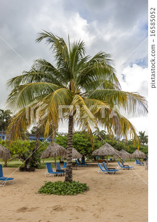 Sunbed and umbrella on a tropical beach Sunbed and umbrella on a tropical beach 16585052