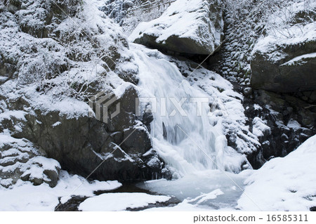 白色的野豬瀑布 16585311