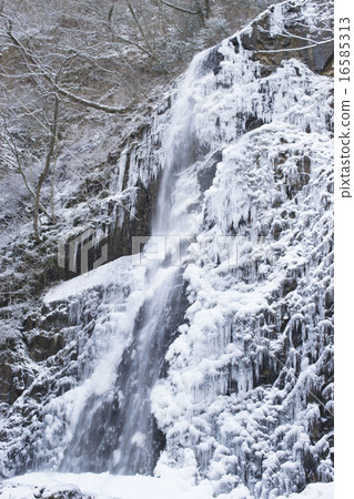 白色的野豬瀑布 16585313