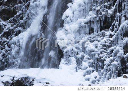 White boar waterfall White boar waterfall 16585314