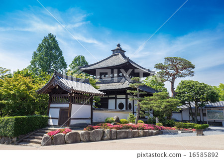 Tofukuji Temple 16585892