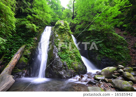 Otaki of Kosuge village 16585942