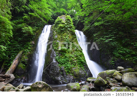 Otaki of Kosuge village 16585943