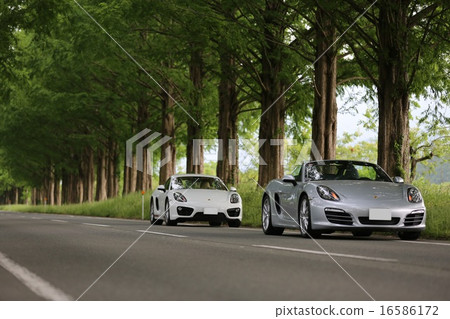 Touring of Porsche trees 16586172